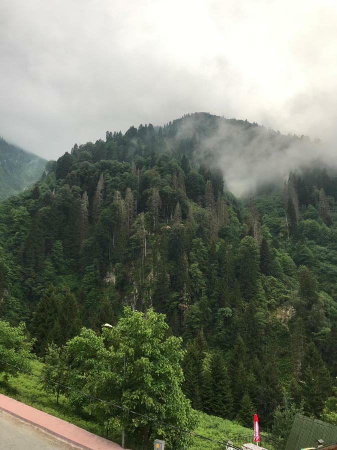 Delux Apart Otel Ayder Yaylası Dış mekan fotoğraf